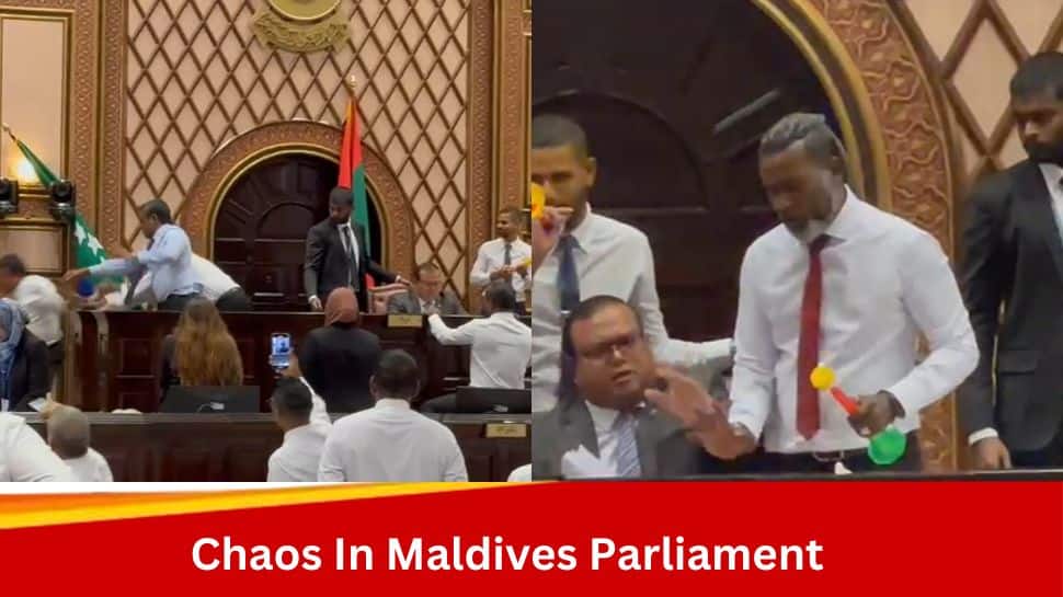 1355534 Maldives Parliament.jpg